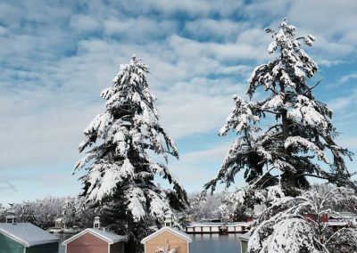 NASWA Resort trees and cottages in winter.