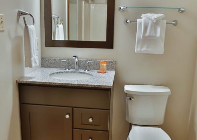 Guest bathroom with shower