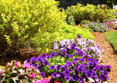 The NASWA Resort entry sign and floral displays