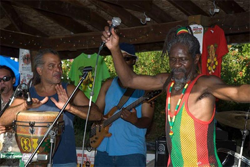 Reggae band playing live.