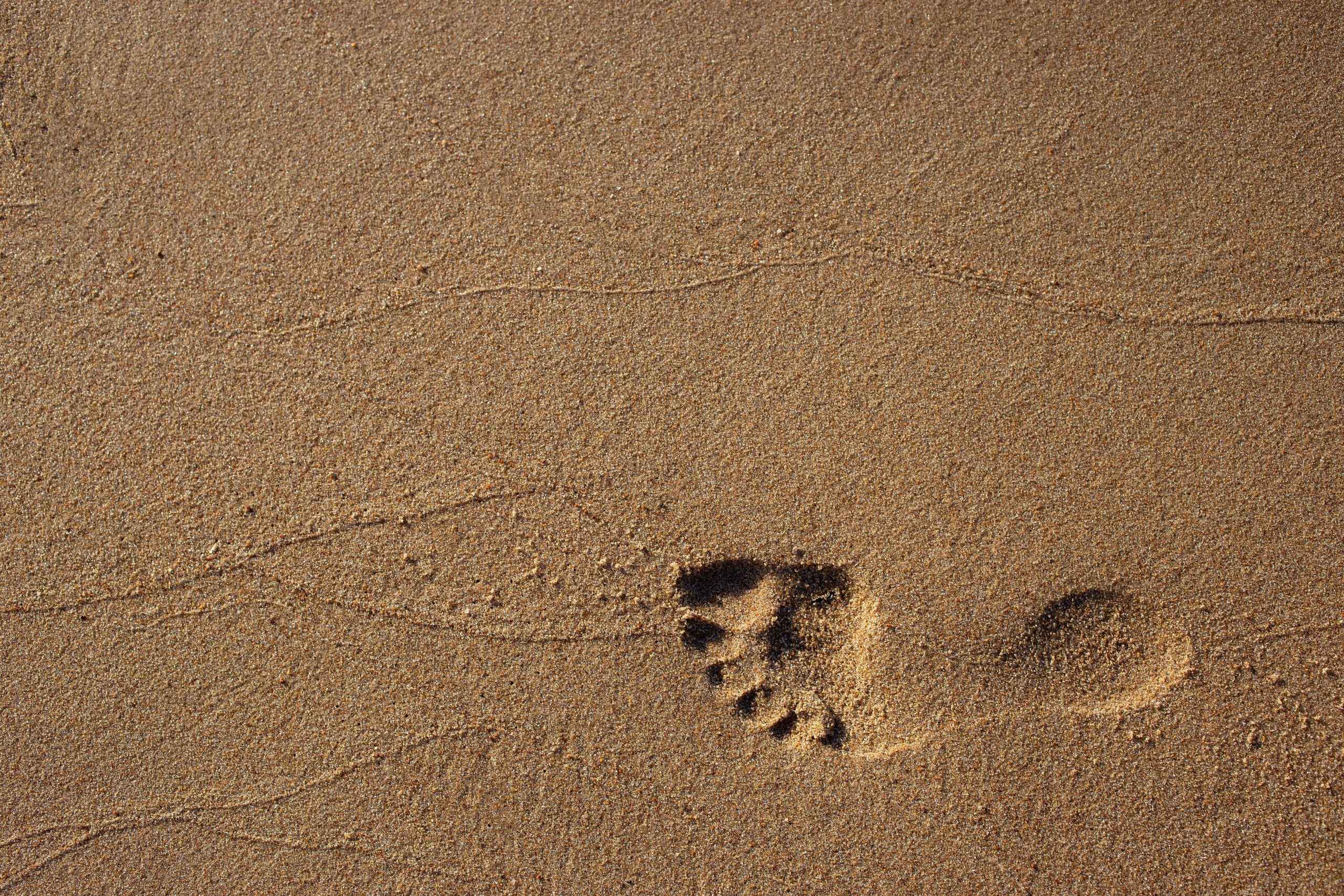 Footprint in the sand.