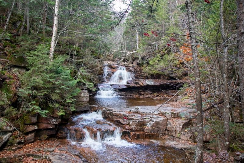 Spending the Day at Crawford Notch State Park